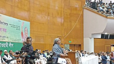 শিক্ষামন্ত্রী ও আওয়ামী লীগের যুগ্ম সাধারণ সম্পাদক ডা. দীপু মনি আজ বুধবার রাজধানীর বঙ্গবন্ধু আন্তর্জাতিক সম্মেলন কেন্দ্রে শেখ হাসিনার ‘স্বদেশ প্রত্যাবর্তন দিবস’ উপলক্ষে আয়োজিত সভায় বক্তব্য দেন।