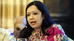 ব্রাহ্মণবাড়িয়া-২ আসনের স্বতন্ত্র সংসদ সদস্য রুমিন ফারহানা। ফাইল ছবি